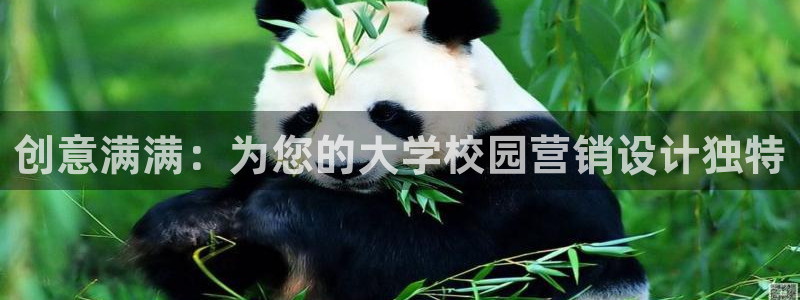 必赢国际游戏登录