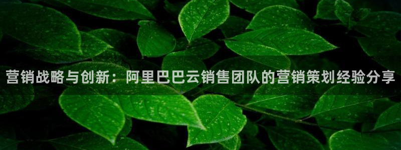 必赢下载：营销战略与创新：阿里