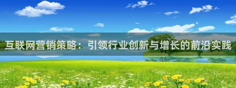 9965必赢游戏网址：互联网营